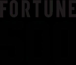 Fortune 500 Company